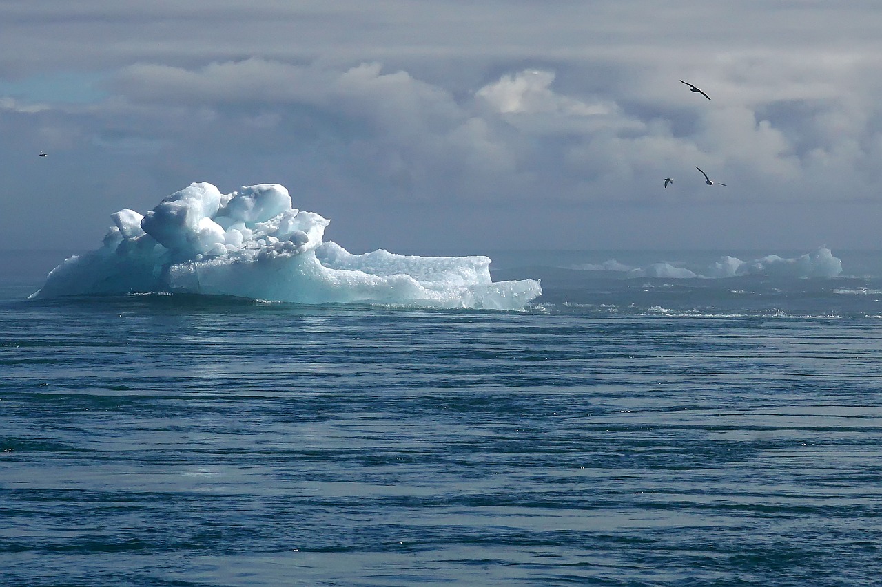 découvrez les enjeux du changement climatique, ses effets sur notre planète et les actions nécessaires pour préserver notre environnement pour les générations futures.