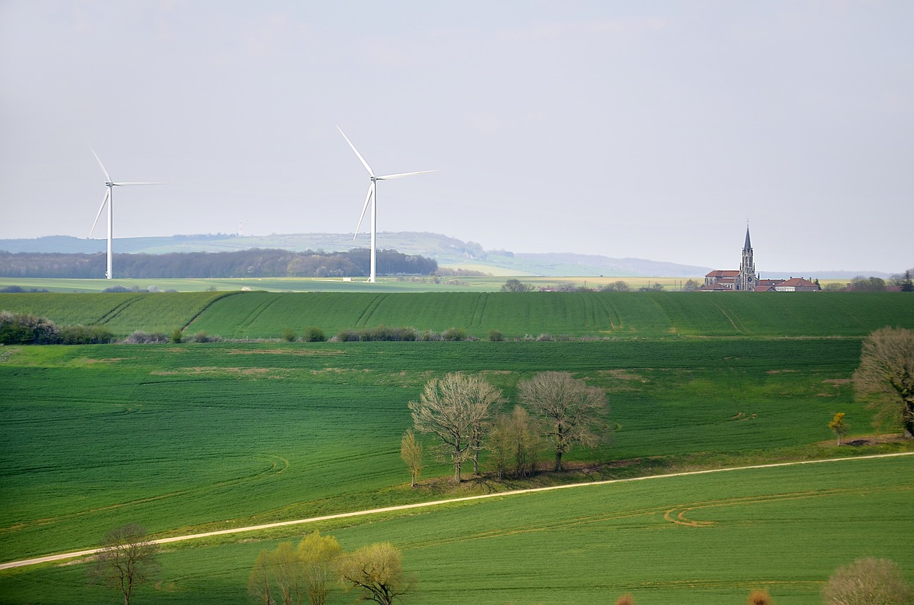 découvrez les principes du développement durable et comment ils peuvent façonner un avenir meilleur pour notre planète. apprenez les pratiques écologiques, l'importance de la préservation des ressources et les initiatives qui favorisent un équilibre entre croissance économique et responsabilité environnementale.