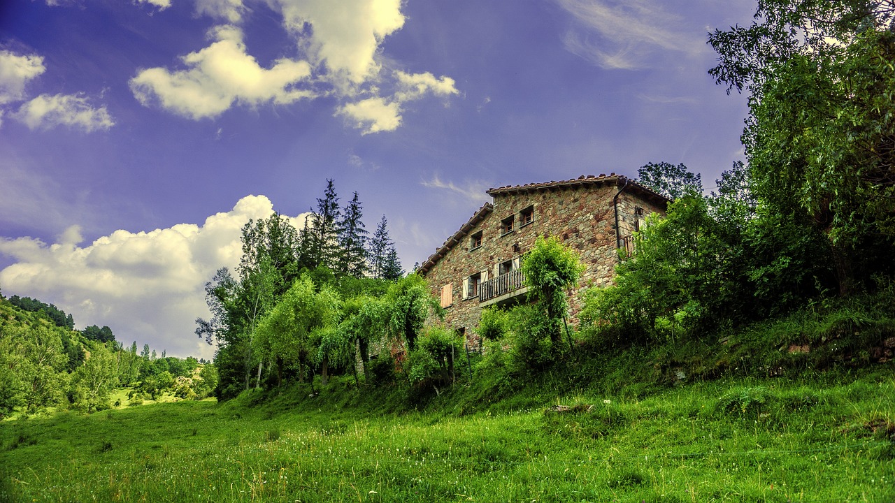 explorez le monde de la foresterie, une discipline essentielle qui allie gestion durable des forêts, conservation des écosystèmes et ressources naturelles. découvrez les techniques de sylviculture, les enjeux environnementaux et l'importance des forêts pour notre bien-être.