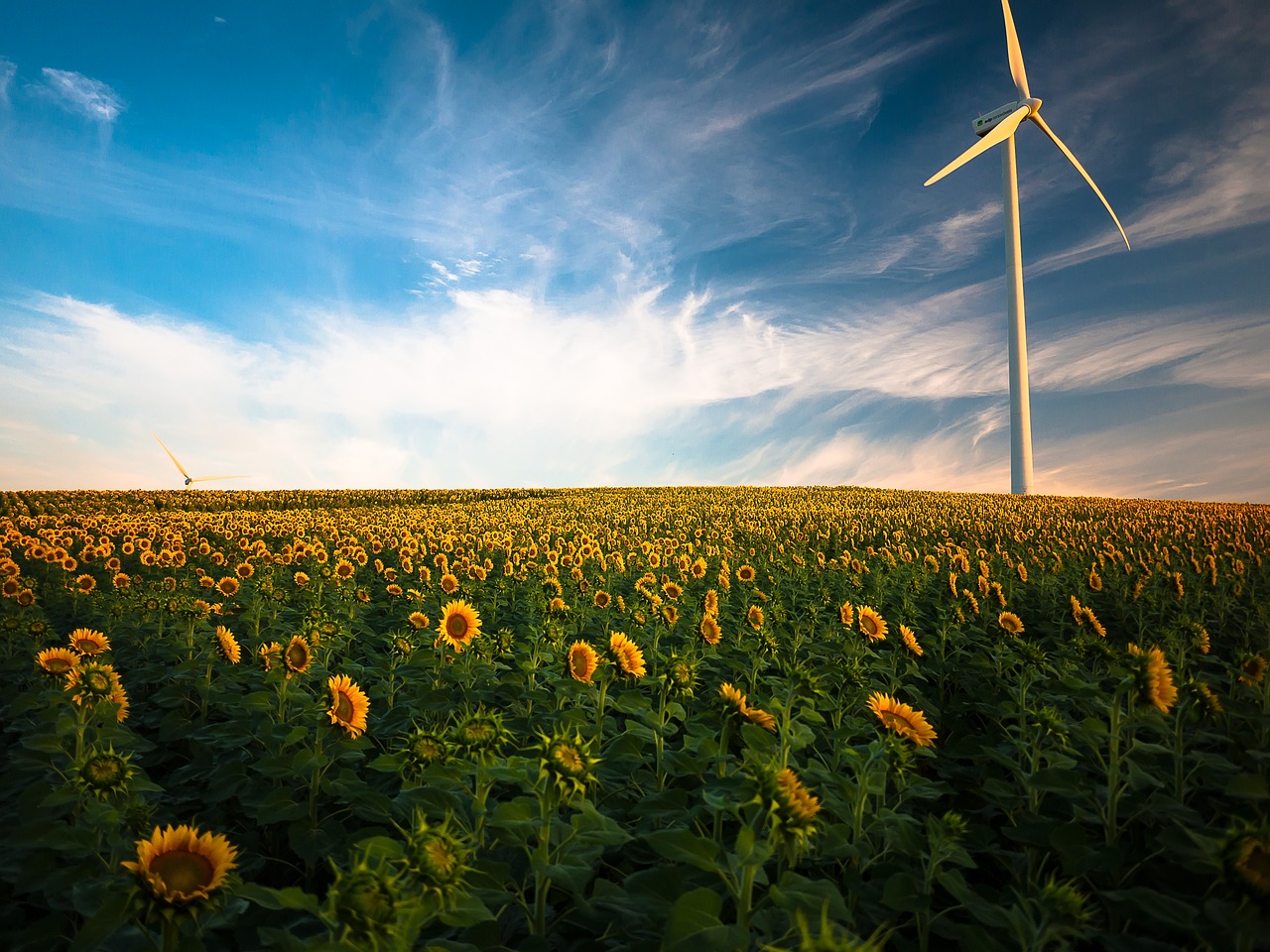 découvrez l'impact des énergies renouvelables sur notre environnement et notre avenir. analyse des avantages, des défis et des innovations qui façonnent un monde durable grâce aux sources d'énergie renouvelable.