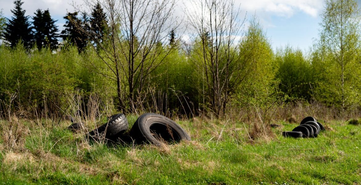 découvrez l'importance de la sensibilisation environnementale pour protéger notre planète. explorez des actions concrètes et des conseils pour adopter un mode de vie durable et responsable.