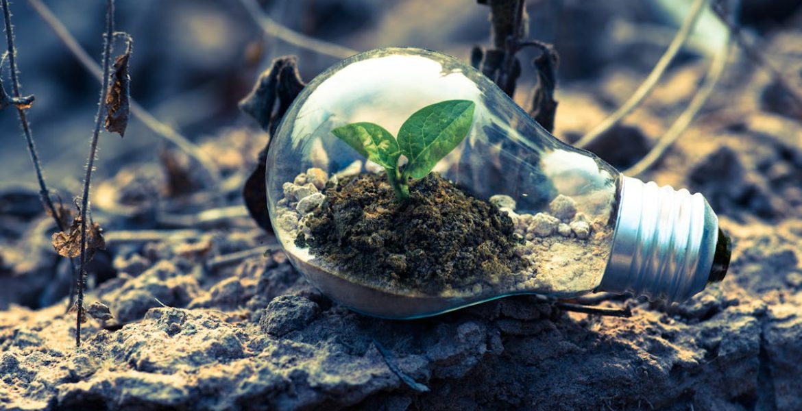 découvrez tout sur la durabilité, ses enjeux et ses pratiques innovantes pour un avenir écoresponsable. explorez des solutions concrètes pour réduire votre impact environnemental et adopter un mode de vie durable.