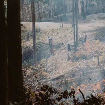 découvrez les impacts de la destruction des habitats sur la biodiversité et les écosystèmes. informez-vous sur les causes, les conséquences et les solutions pour préserver notre planète face à cette menace croissante.