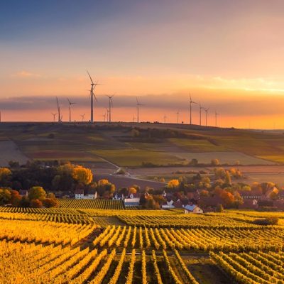 découvrez l'importance de la durabilité dans notre monde moderne. explorez des pratiques écologiques, des initiatives responsables et des solutions innovantes pour un avenir plus respectueux de l'environnement.