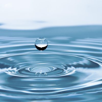 découvrez l'impact environnemental des activités humaines sur notre planète. explorez les enjeux écologiques, les conséquences du changement climatique et les initiatives durables pour préserver notre environnement pour les générations futures.