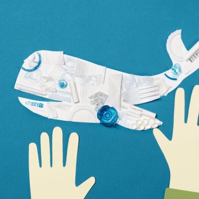 découvrez l'art de l'upcycling, une démarche écoresponsable qui transforme des matériaux et objets inutilisés en créations uniques et durables. apprenez comment donner une seconde vie à vos vieux vêtements, meubles et bien plus encore tout en contribuant à la protection de l'environnement.