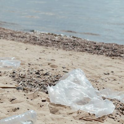 découvrez les impacts écologiques majeurs de nos actions sur la planète. explorez comment nos choix quotidiens influencent l'environnement et les stratégies durables à adopter pour préserver notre écosystème.