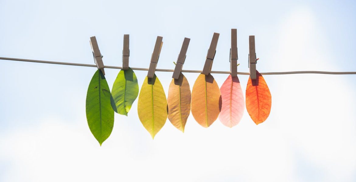 découvrez comment la transition écologique transforme nos modes de vie et nos économies, en adoptant des pratiques durables pour préserver notre planète. explorez les enjeux, les solutions innovantes et les initiatives inspirantes qui façonnent un avenir plus vert.
