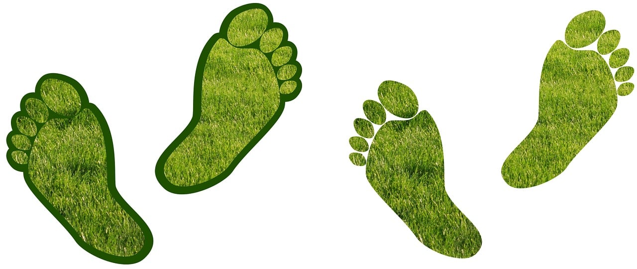 découvrez comment réduire votre empreinte carbone et contribuer à la lutte contre le changement climatique. explorez des conseils pratiques et des solutions durables pour minimiser l'impact environnemental de votre mode de vie.