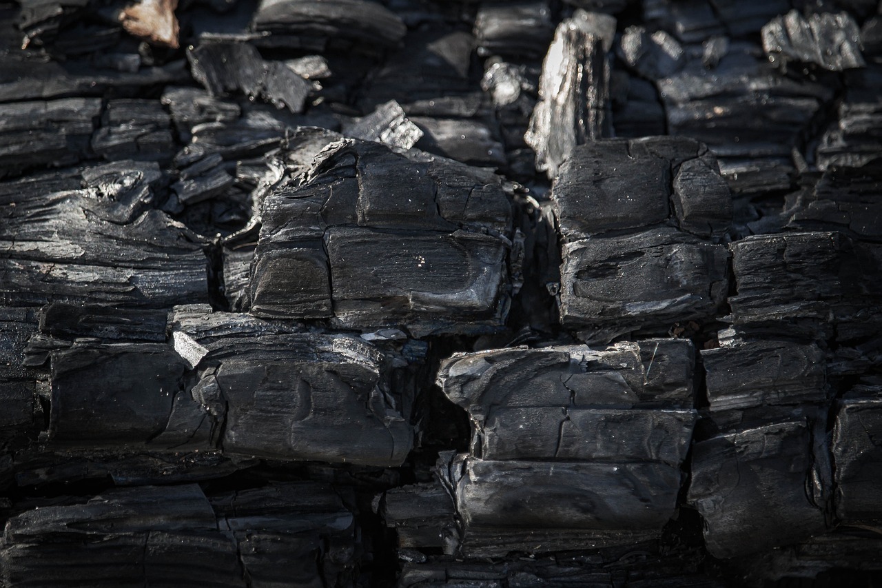 découvrez ce qu'est l'empreinte carbone, son impact sur l'environnement et comment réduire votre consommation pour un avenir plus durable. explorez des conseils pratiques et des stratégies pour minimiser votre empreinte écologique.