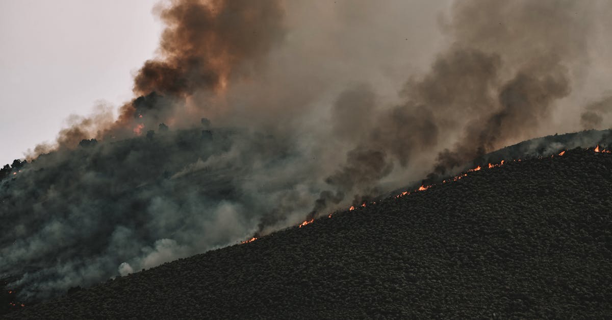 découvrez l'impact écologique des activités humaines sur notre planète. analyse des enjeux environnementaux, des solutions durables et des actions à entreprendre pour préserver notre écosystème.