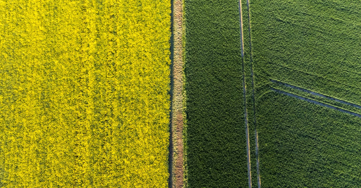 découvrez l'importance des valeurs environnementales et leur impact sur notre société. explorez comment ces principes guident nos actions pour protéger la planète et promouvoir un développement durable.