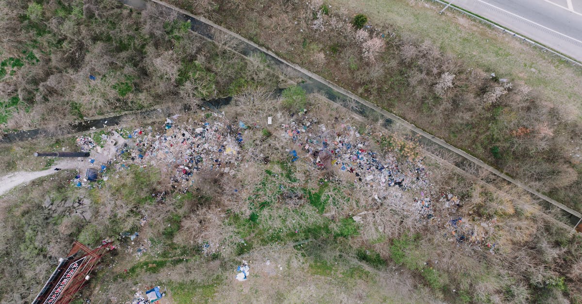 découvrez les causes et les conséquences de la destruction des habitats naturels. informez-vous sur les impacts environnementaux et les solutions pour préserver notre biodiversité.