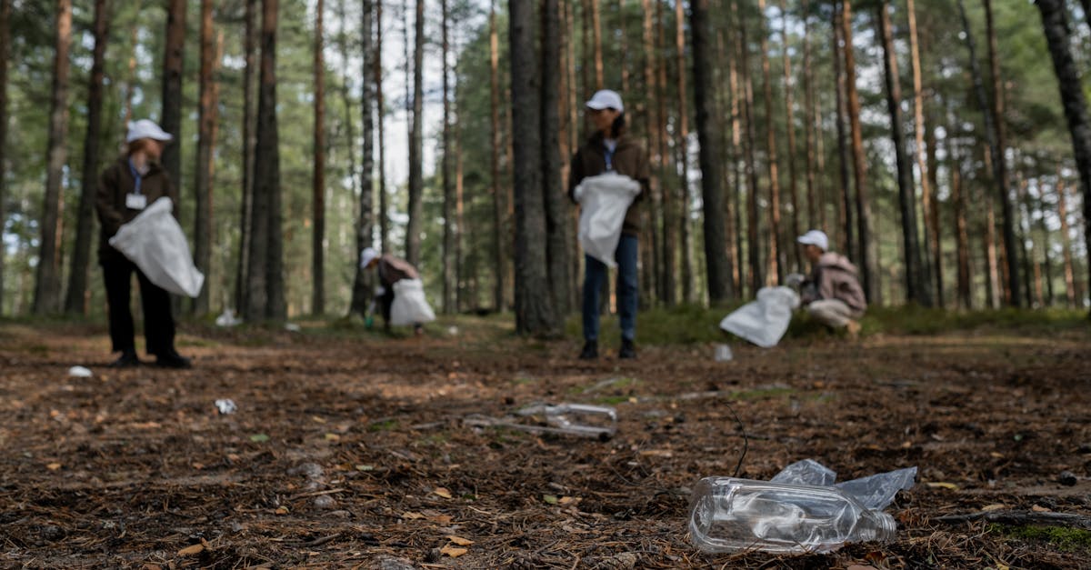 découvrez l'importance de la protection des ressources naturelles, des stratégies efficaces et des initiatives écologiques pour préserver notre planète pour les générations futures.