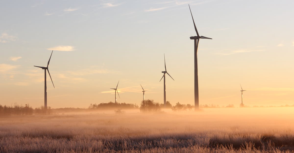 découvrez l'importance de la durabilité pour un avenir plus vert. explorez les pratiques, les innovations et les solutions qui favorisent un mode de vie écoresponsable et protègent notre planète pour les générations futures.