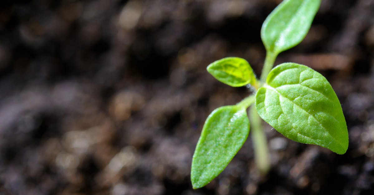 découvrez les enjeux de la durabilité et apprenez comment adopter des pratiques écoresponsables pour préserver notre planète. explorez des solutions innovantes et inspirantes pour un avenir durable et respectueux de l'environnement.