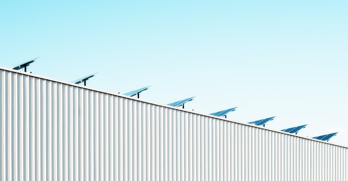 découvrez les enjeux et les solutions pour un avenir durable avec notre guide sur la durabilité. explorez des pratiques écologiques, des innovations responsables et des conseils pour réduire votre empreinte carbone tout en préservant notre planète.