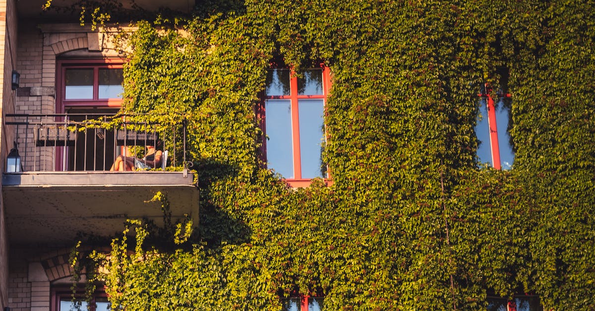 découvrez comment les partenariats en matière de durabilité transforment les entreprises et les communautés. explorez des initiatives innovantes qui favorisent un avenir durable grâce à la collaboration et l'échange de ressources.