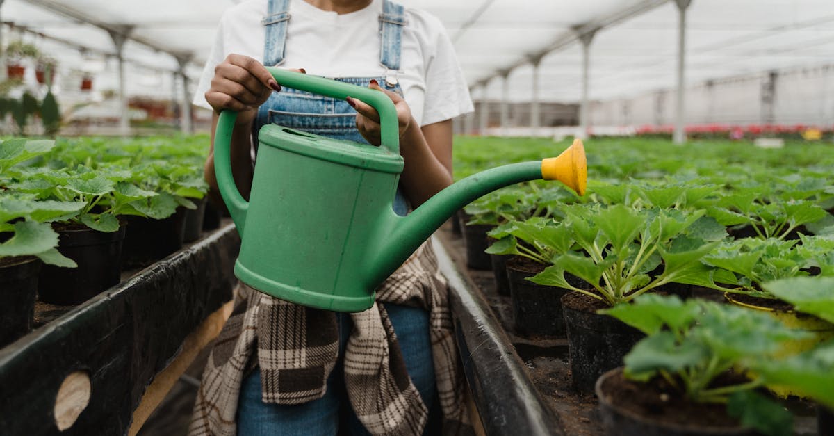 découvrez l'agriculture durable : pratiques écologiques, préservation des ressources naturelles et amélioration de la biodiversité. apprenez comment ces méthodes innovantes contribuent à une alimentation saine et à la protection de notre planète.