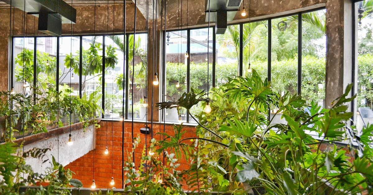 découvrez l'art du design durable, une approche innovante qui allie esthétique et respect de l'environnement. explorez des solutions créatives et responsables pour un avenir éco-conscient.