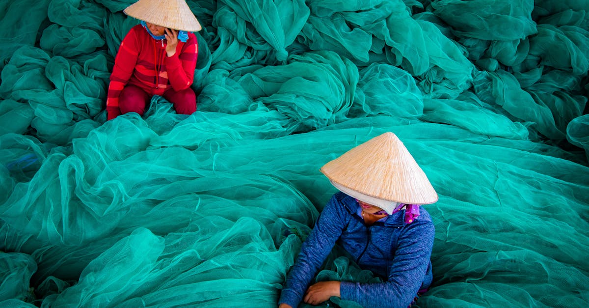 découvrez des pratiques durables qui favorisent la protection de l'environnement et le bien-être des générations futures. apprenez comment intégrer des solutions écologiques dans votre vie quotidienne pour un avenir plus vert.