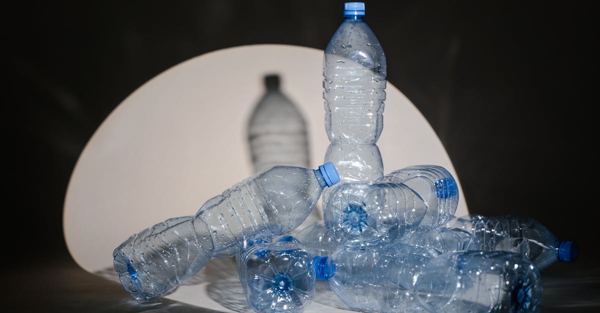 découvrez le monde de l'upcycling : transformez des objets du quotidien en créations uniques et durables. apprenez à valoriser vos déchets tout en préservant l'environnement grâce à des idées innovantes et des conseils pratiques.