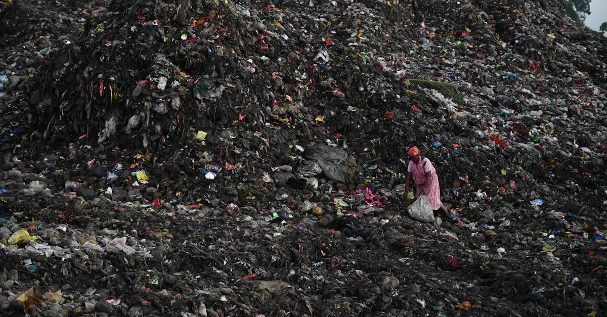 découvrez des solutions innovantes et durables pour la gestion des déchets. apprenez comment optimiser le recyclage, réduire les déchets et promouvoir une utilisation responsable des ressources pour un avenir plus vert.