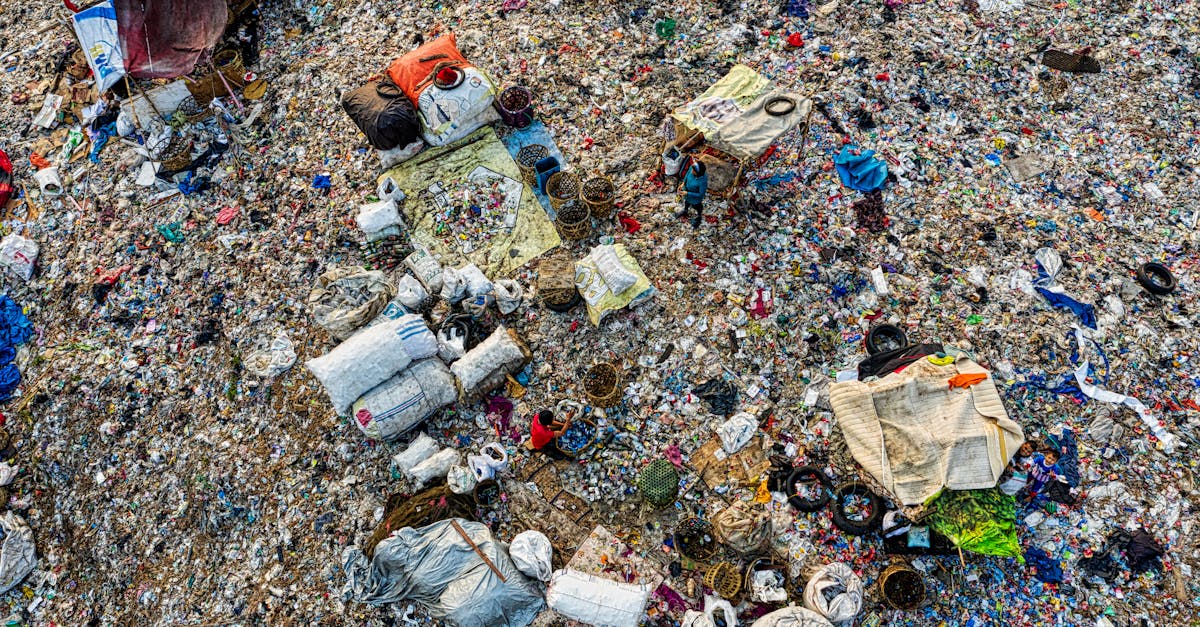 découvrez nos solutions innovantes de gestion des déchets pour un avenir plus propre. notre approche durable aide les entreprises et les collectivités à réduire leur impact environnemental tout en optimisant le recyclage et la valorisation des déchets. adoptez une gestion responsable et efficace des déchets dès aujourd'hui.