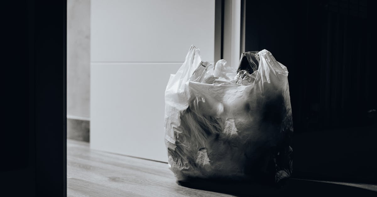 découvrez des solutions innovantes et durables pour la gestion des déchets. optimisez le recyclage et réduisez votre impact environnemental grâce à nos services de gestion des déchets adaptés à vos besoins.
