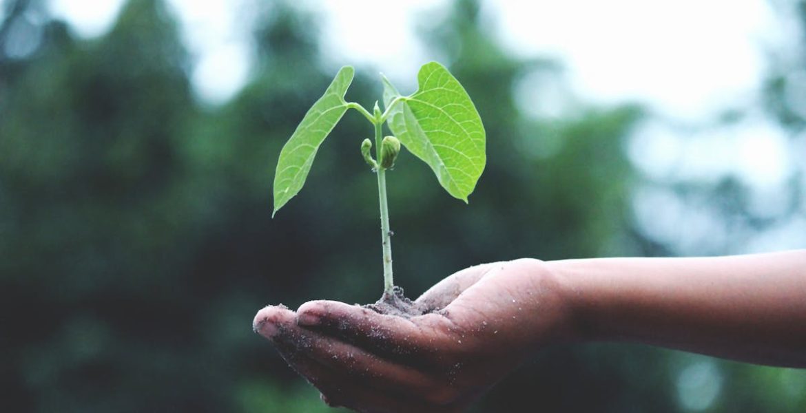 découvrez comment agir pour le climat avec des initiatives concrètes et des conseils pratiques. rejoignez le mouvement pour un avenir durable et inspirez le changement à travers des actions positives.