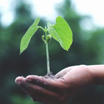 découvrez comment agir pour le climat avec des initiatives concrètes et des conseils pratiques. rejoignez le mouvement pour un avenir durable et inspirez le changement à travers des actions positives.