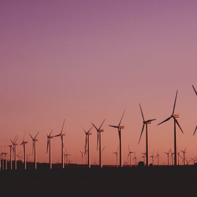 découvrez l'importance du développement durable pour un avenir écoresponsable. explorez des pratiques innovantes qui allient croissance économique, préservation de l'environnement et bien-être social.
