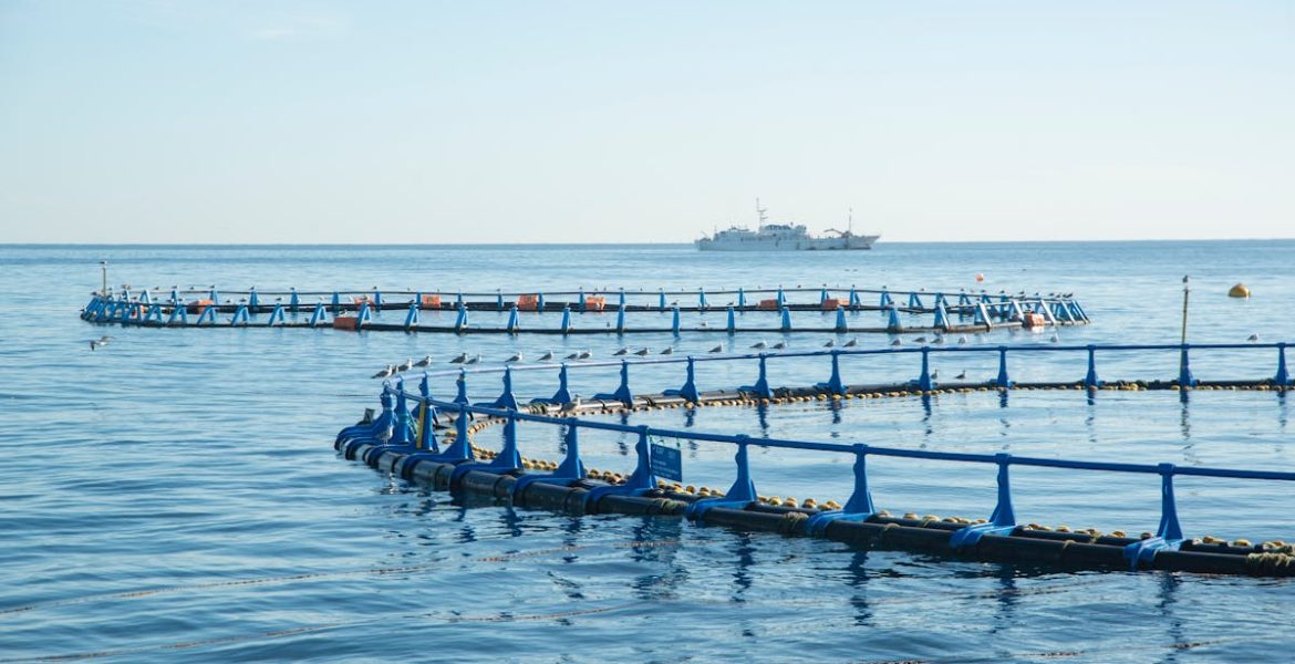 découvrez les meilleures pratiques de gestion environnementale pour promouvoir la durabilité, réduire l'impact écologique et garantir un avenir plus vert. explorez des stratégies efficaces pour intégrer la protection de l'environnement dans vos activités.