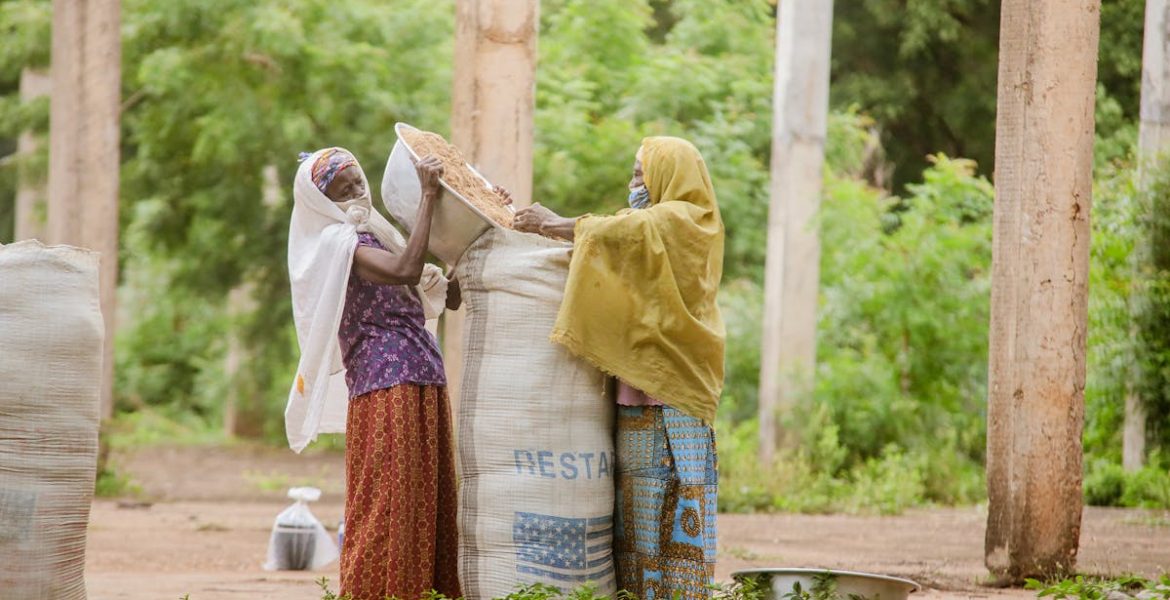 découvrez comment les ressources humaines durables peuvent transformer votre entreprise en intégrant des pratiques éthiques, respectueuses de l'environnement et centrées sur le bien-être des employés. explorez des stratégies innovantes pour bâtir un avenir responsable et performant.