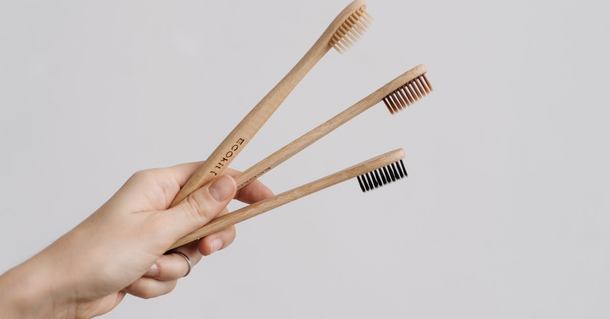 découvrez notre sélection de produits biodégradables, conçus pour réduire votre impact sur l'environnement. optez pour des alternatives durables qui respectent la planète tout en préservant votre confort au quotidien.