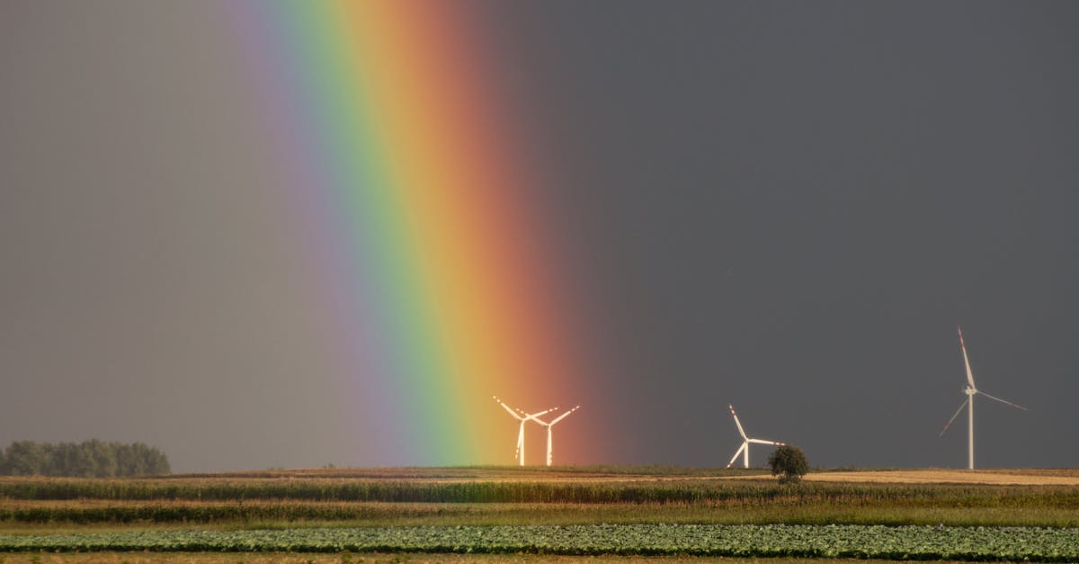découvrez comment agir efficacement contre le changement climatique avec des solutions durables et innovantes. engagez-vous pour un avenir plus vert et apprenez les gestes qui préservent notre planète.