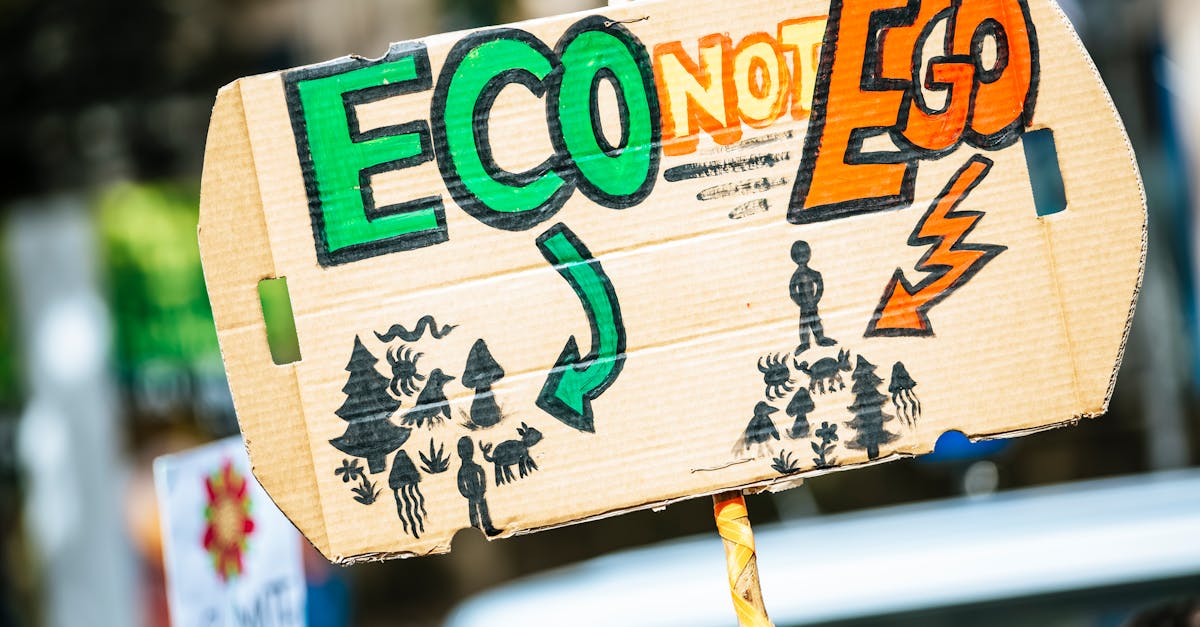découvrez les enjeux cruciaux du changement climatique, ses impacts sur notre planète et les actions essentielles à entreprendre pour préserver notre environnement et assurer un avenir durable.