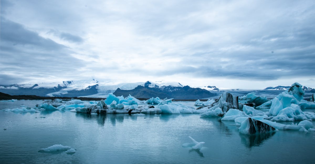 découvrez comment le changement climatique impacte notre planète et quelles actions nous pouvons entreprendre pour préserver notre environnement. informez-vous sur les causes, les conséquences et les solutions pour lutter contre ce défi mondial.