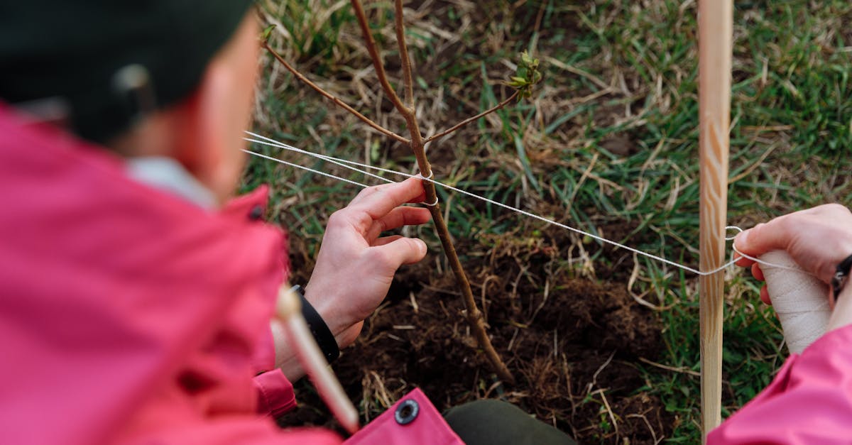 découvrez comment les certificats d'économie d'énergie peuvent vous aider à réduire vos factures et à contribuer à la protection de l'environnement. informez-vous sur les avantages, les démarches à suivre et les opportunités offertes par ces dispositifs.