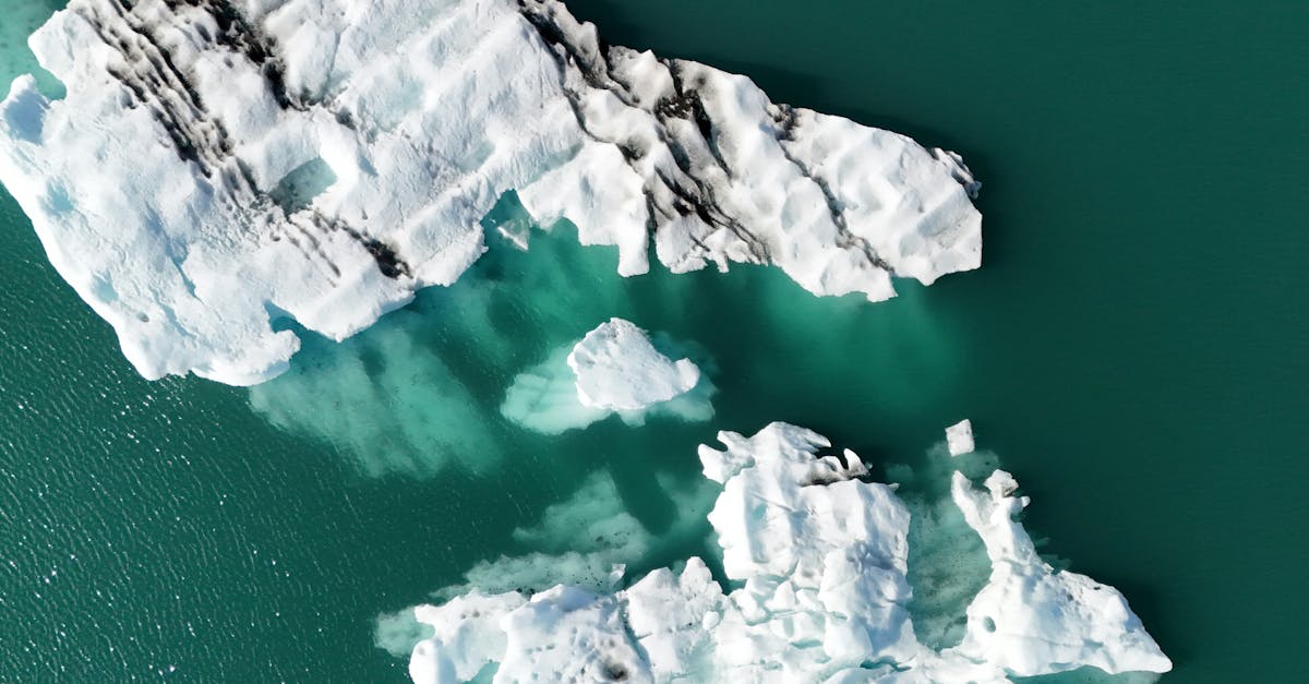 découvrez le droit de l'environnement, une branche essentielle du droit qui réglemente la protection de l'environnement, la gestion des ressources naturelles et la lutte contre la pollution. explorez les principes juridiques, les lois en vigueur et les enjeux contemporains liés à la durabilité et à la justice environnementale.