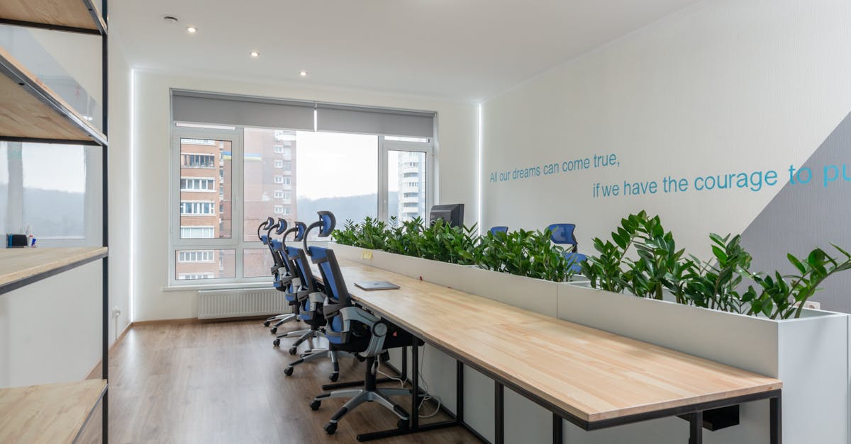découvrez le financement vert, une solution innovante pour soutenir les projets durables et respecter l'environnement. explorez comment ces initiatives financières favorisent la transition vers une économie plus verte et responsable.