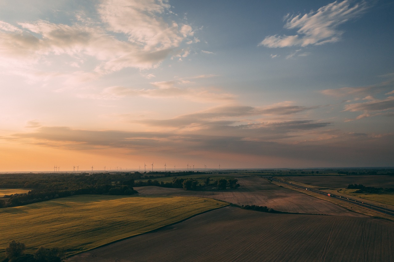 découvrez comment adopter des pratiques durables dans votre quotidien pour préserver notre planète. explorez des conseils, des initiatives et des solutions écologiques pour un avenir meilleur.