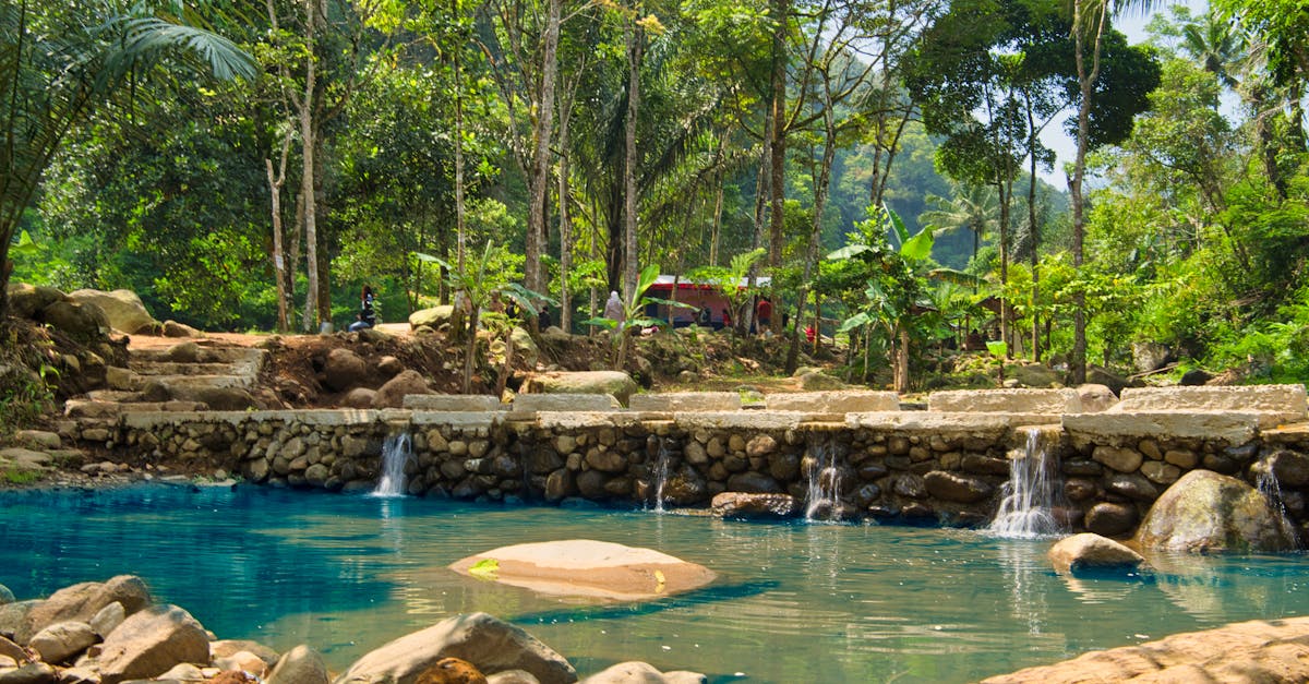 découvrez les principes du développement durable, des solutions écologiques et des pratiques responsables pour préserver notre planète tout en répondant aux besoins actuels. adoptez un mode de vie respectueux de l'environnement et participez à la construction d'un avenir durable.