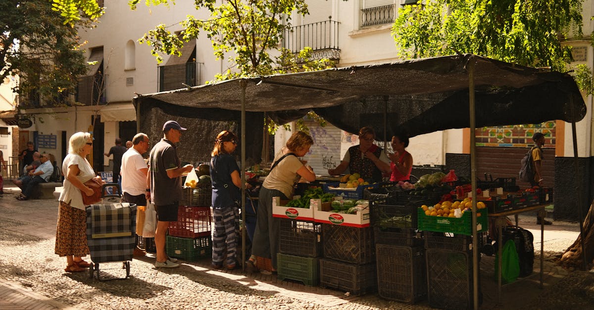 découvrez comment construire une communauté durable, où l'environnement, l'économie et le bien-être social s'unissent pour un avenir meilleur. explorez des pratiques écologiques, des initiatives locales et des stratégies collaboratives qui favorisent un développement harmonieux et respectueux des ressources.