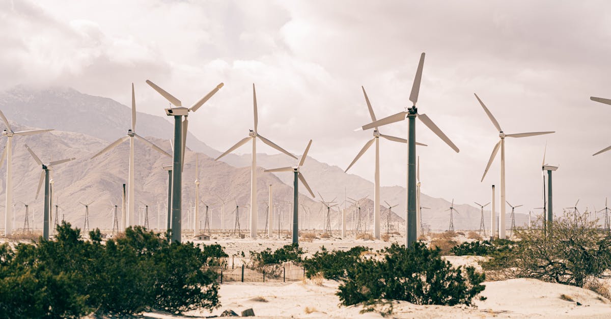 découvrez les enjeux du développement durable, une approche essentielle pour préserver notre planète et garantir un avenir équitable. explorez des solutions innovantes et responsables pour allier croissance économique, protection de l'environnement et bien-être social.