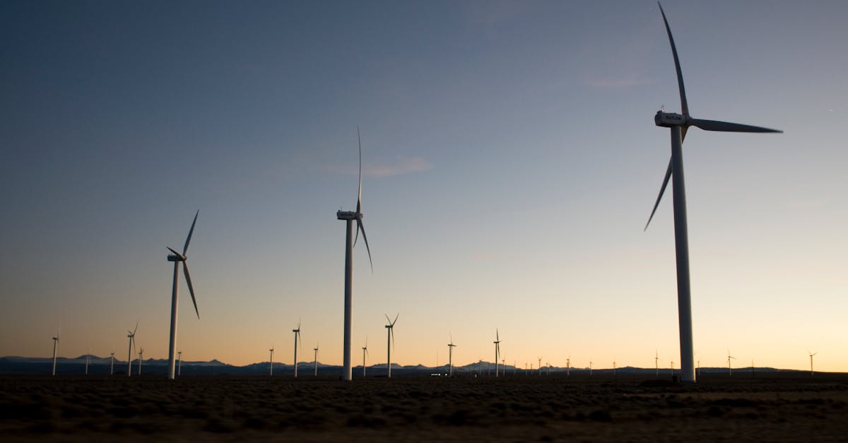découvrez l'importance du développement durable et comment il contribue à un avenir équilibré pour notre planète. explorez des stratégies innovantes et des pratiques respectueuses de l'environnement qui intègrent les aspects écologiques, économiques et sociaux.