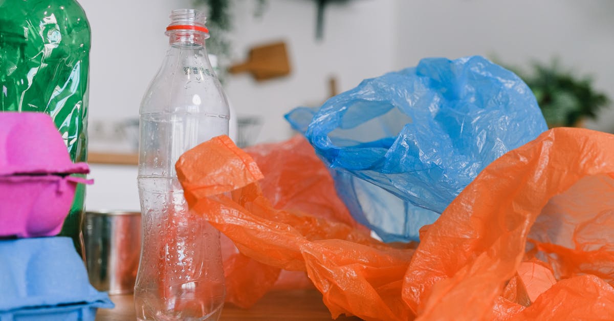 découvrez comment adopter un mode de vie durable grâce à des conseils pratiques et des astuces pour minimiser votre impact environnemental tout en améliorant votre qualité de vie. engagez-vous pour une planète plus verte !