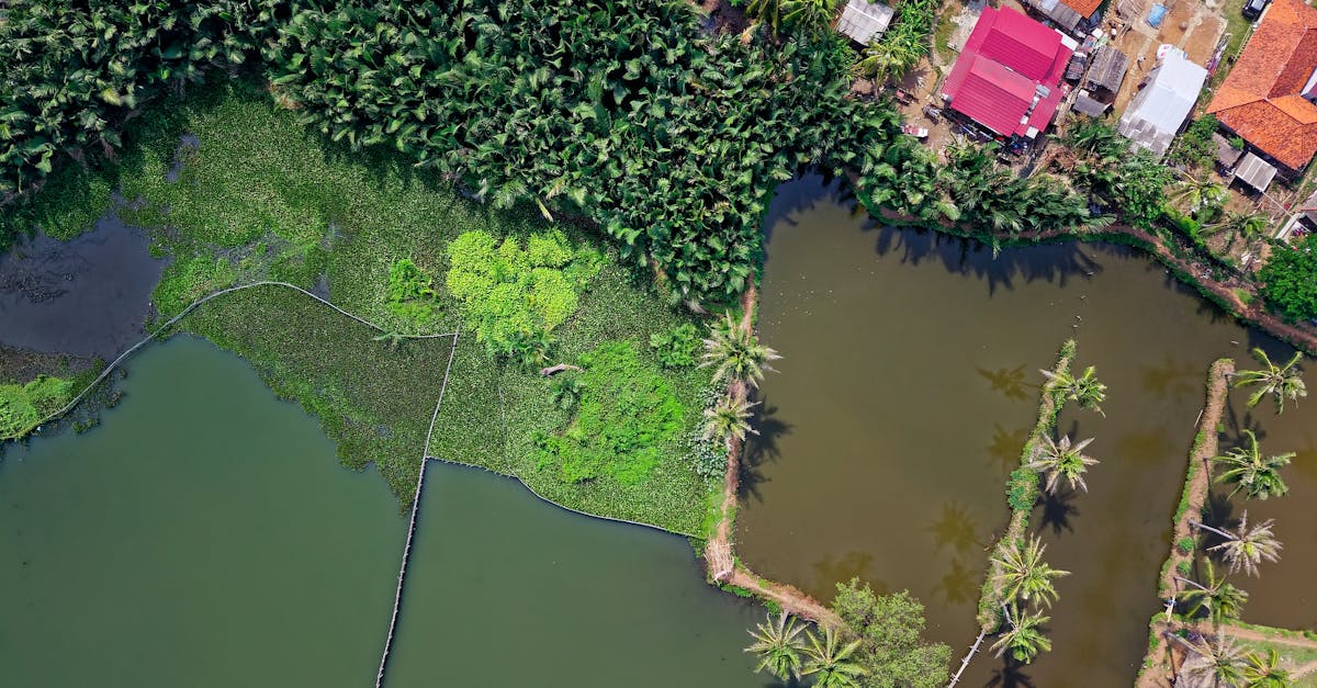 découvrez l'importance de la gestion de l'eau pour un avenir durable. apprenez des stratégies innovantes et des pratiques efficaces pour préserver cette ressource vitale, optimiser son utilisation et protéger notre environnement.