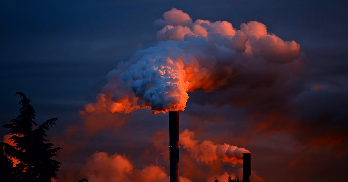 découvrez l'empreinte carbone : son impact sur l'environnement, comment la mesurer et des solutions pour réduire votre contribution. engagez-vous pour un avenir durable.