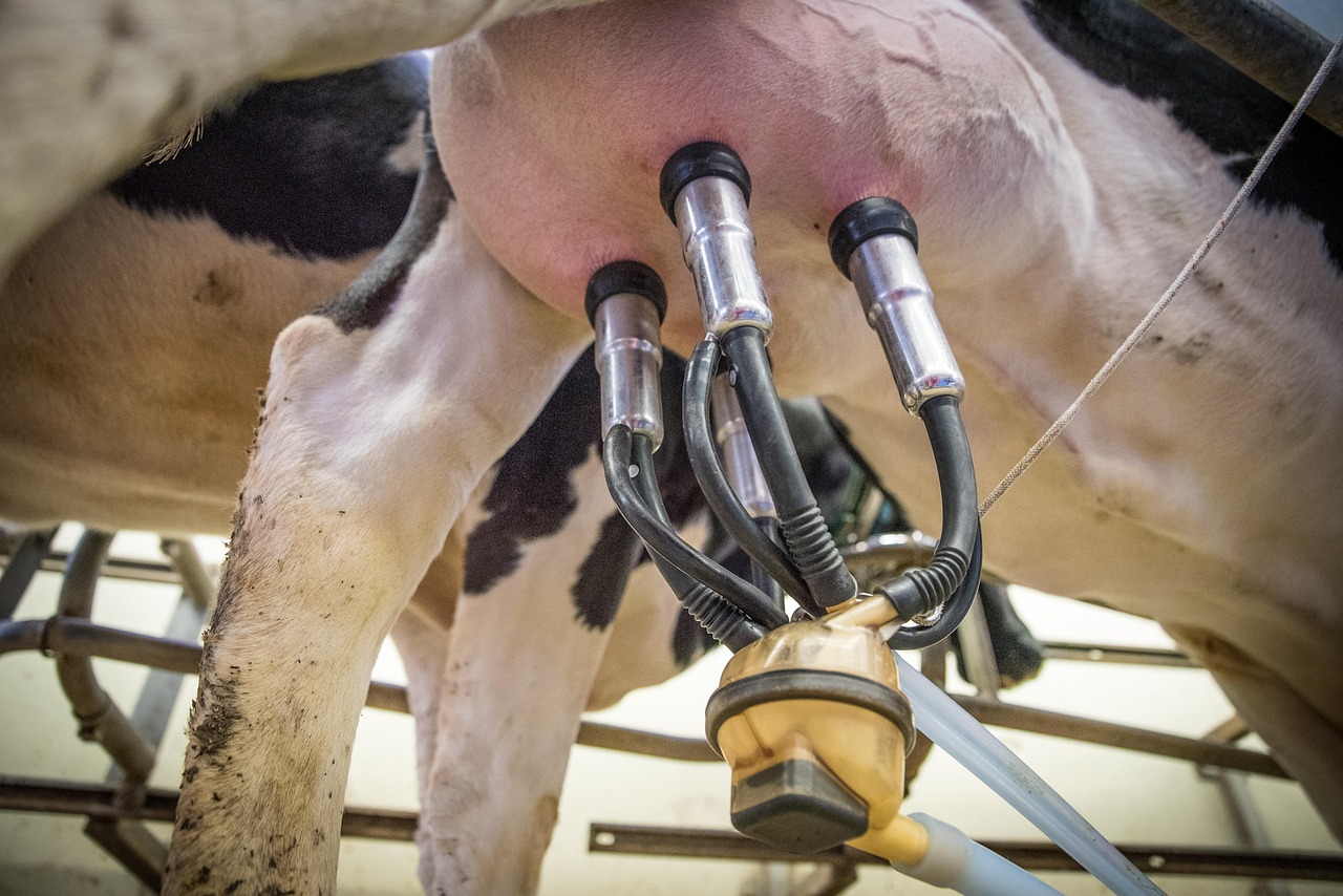découvrez le lait carboneutre, une alternative durable et respectueuse de l'environnement, offrant un goût authentique tout en minimisant l'empreinte écologique. engagez-vous pour une consommation responsable avec notre lait innovant qui contribue à la protection de notre planète.